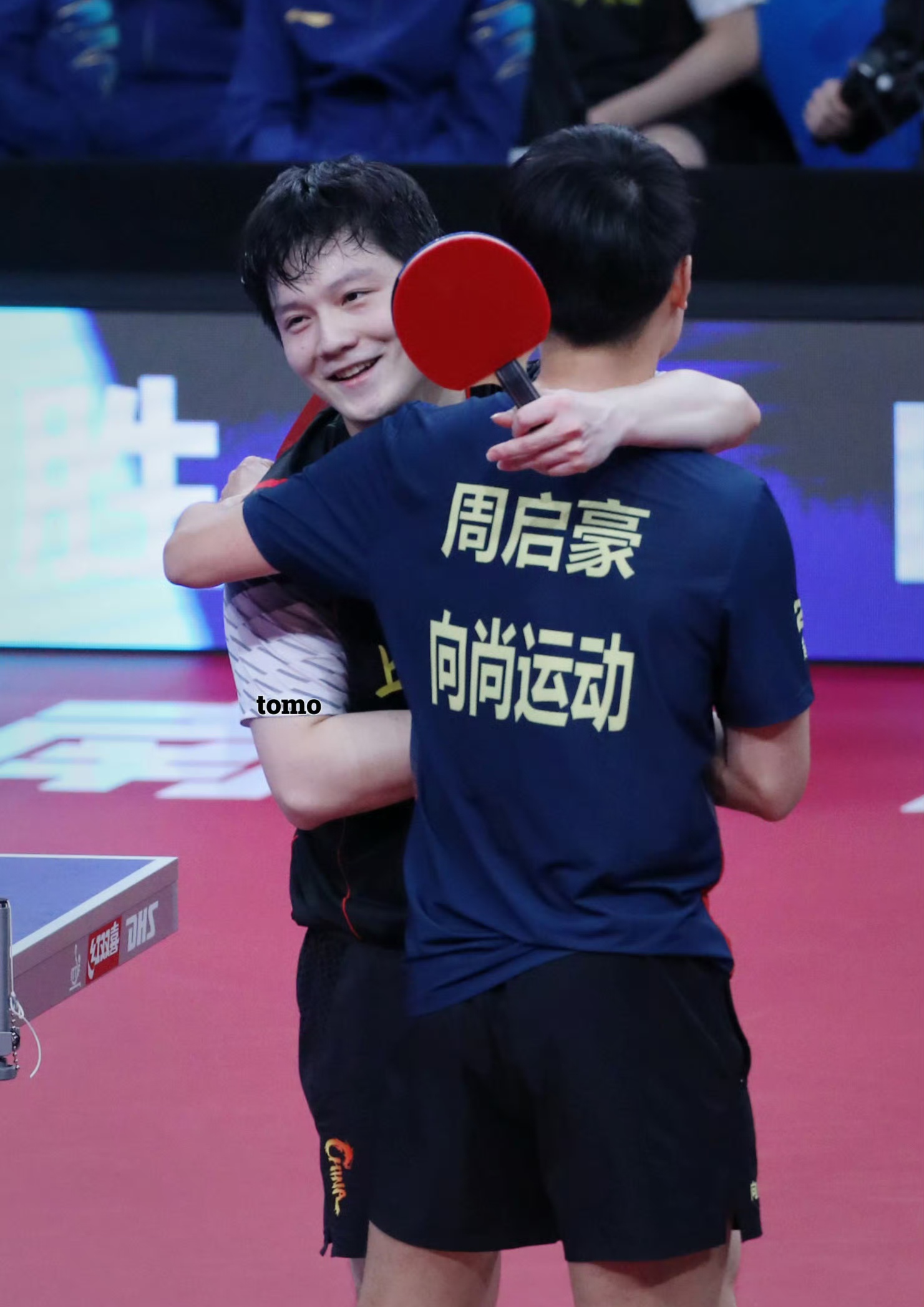 包含波兰乒乓球队血洗英国乒乓球队，樊振东完成帽子戏法的词条