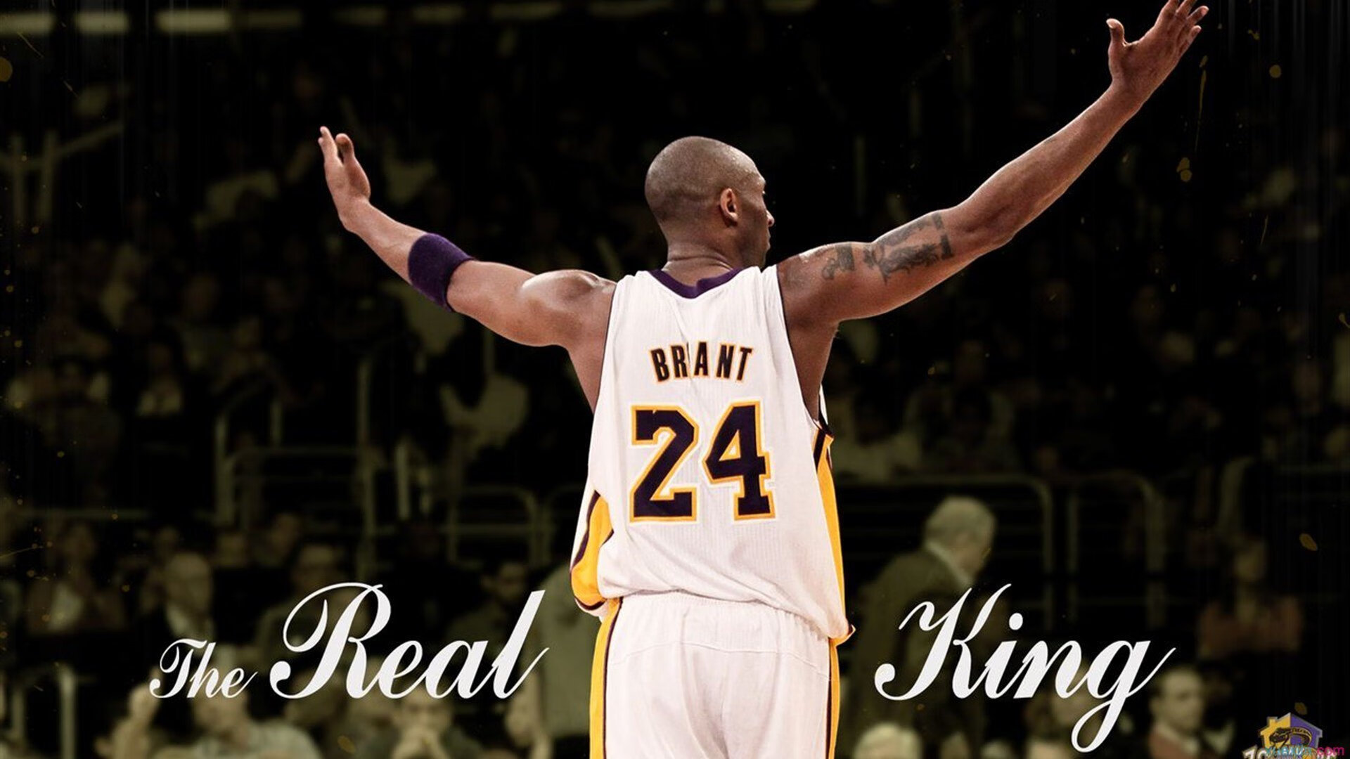 佩德里之夜，NBA总决赛的意外英雄与不朽瞬间