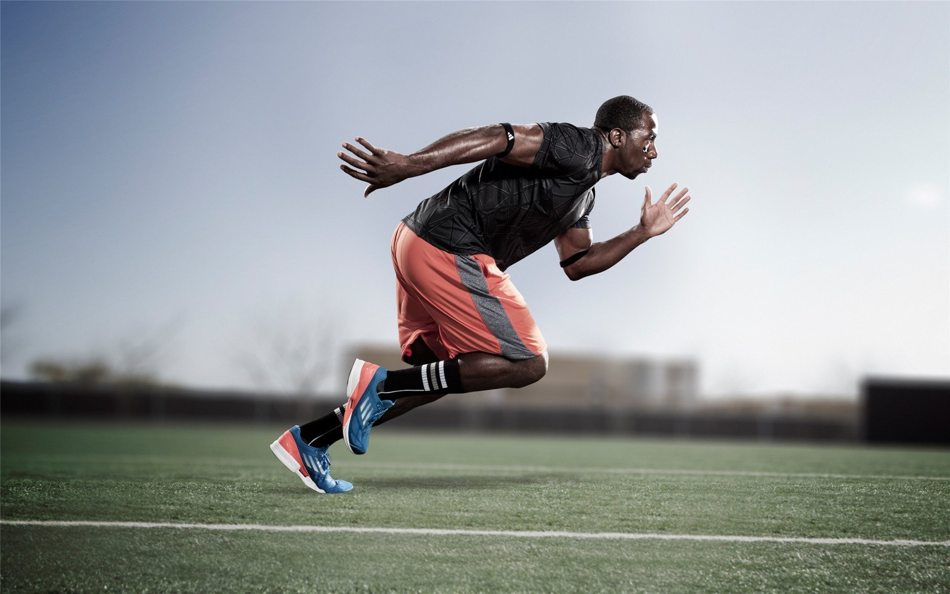 跨越赛场的统治力，从霍勒迪欧冠神迹到辽宁男篮的团队完胜