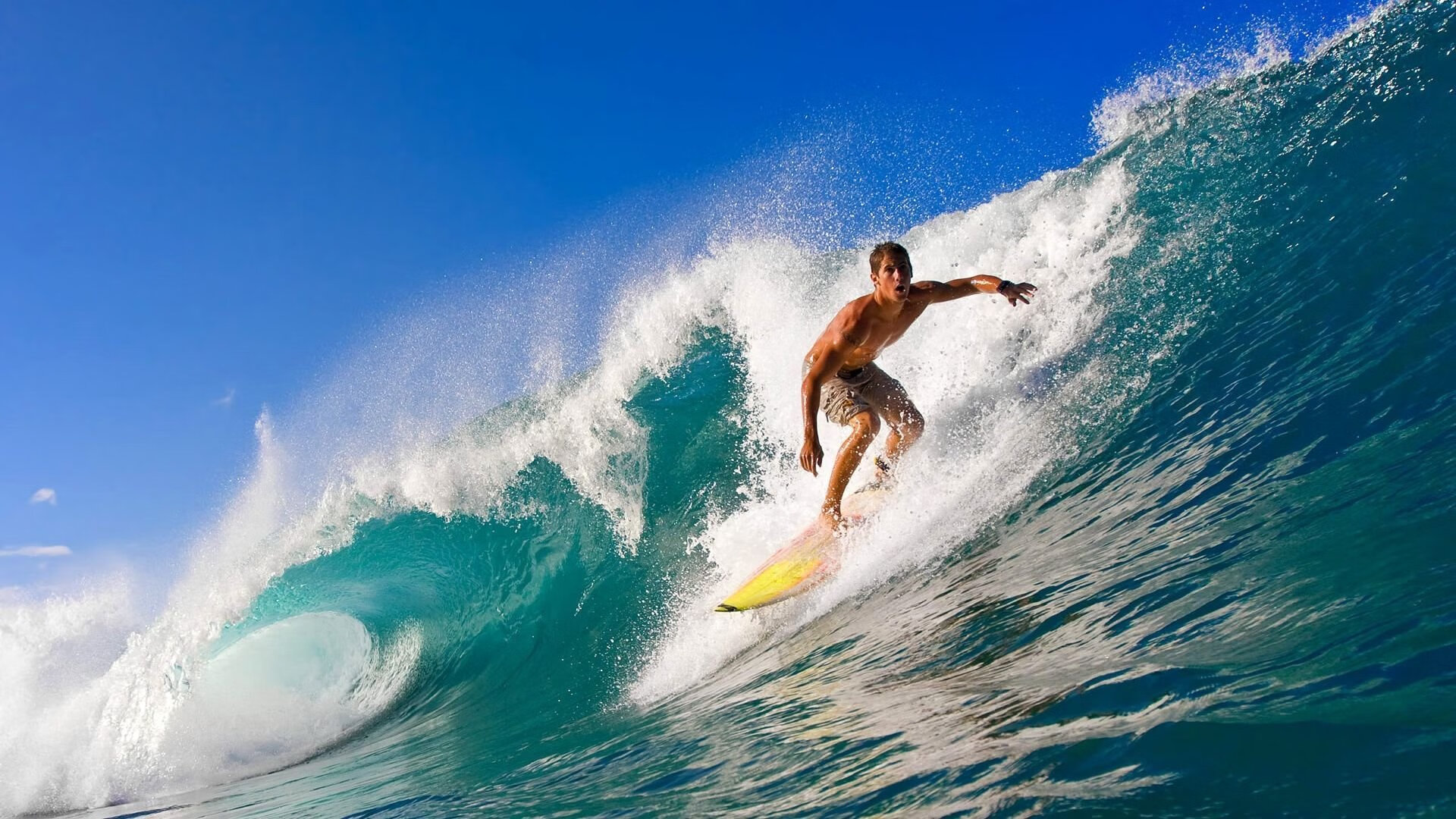 年度焦点之战,埃及生死战取胜曼联